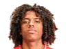 https://img.fromostudio.com/img/football/player/135ad8787fd13961a93e165e79e736ff.png